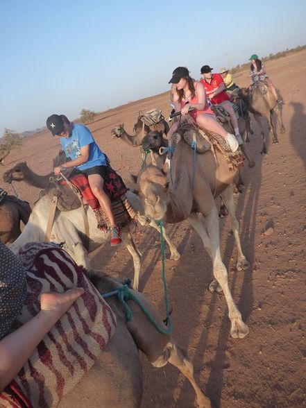 Camel Ride Sahara Desert 