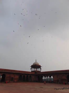 Kites flying over mosque in old delhi